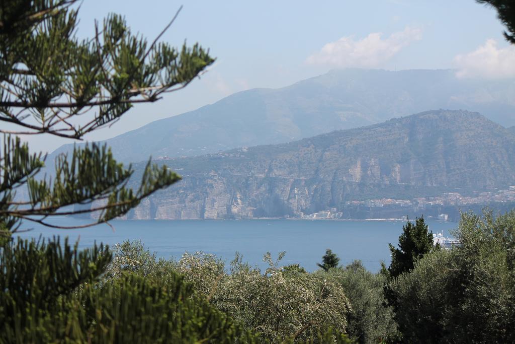 Capo Santa Fortunata Sorrento Szoba fotó